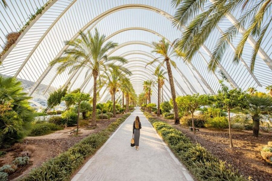 Valencia: Private custom tour with a local guide - Language, group size, and the comfort factor