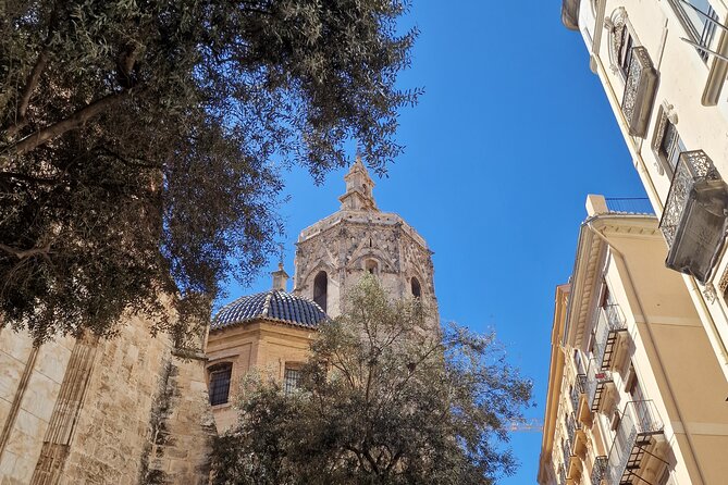 Valencia Private Walking Tour with Official Valencian Guide - Price, time, and what you get in 2 hours