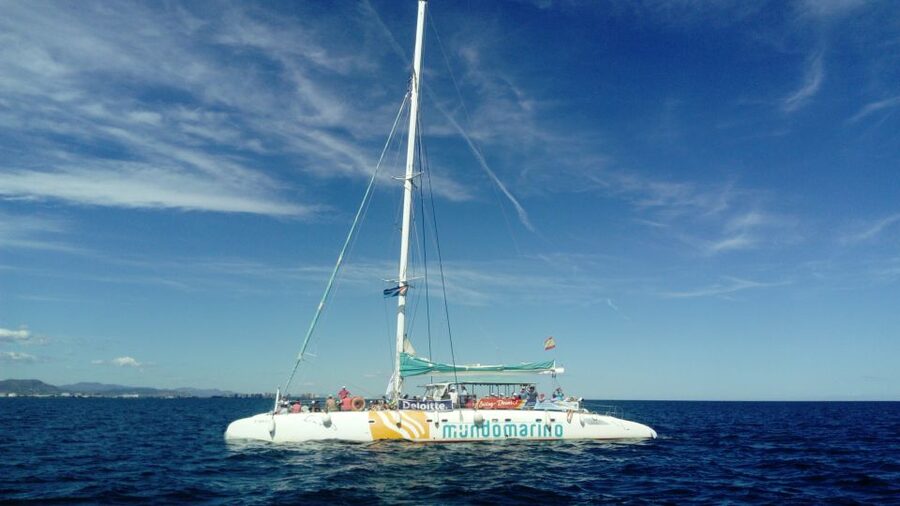 Valencia: Sailing Catamaran Cruise with Valencian Lunch - Net seating: how to get the best spot and avoid disappointment