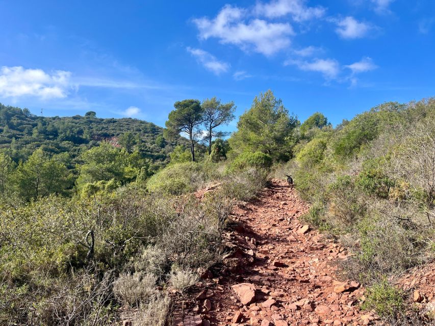 Valencia: Sierra Calderona & El Garbí Mountain hiking Tour - Who this tour suits best, and who should choose something easier