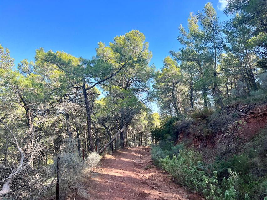 Valencia: Sierra Calderona & El Garbí Mountain hiking Tour - Sagunto Train Station start, small group, air-conditioned comfort