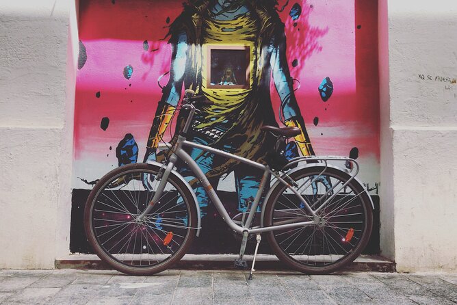 Valencia Street Art | Private Tour by Bike or Electric Ride - Pedaling the Tiny Streets Where the Murals Actually Make Sense