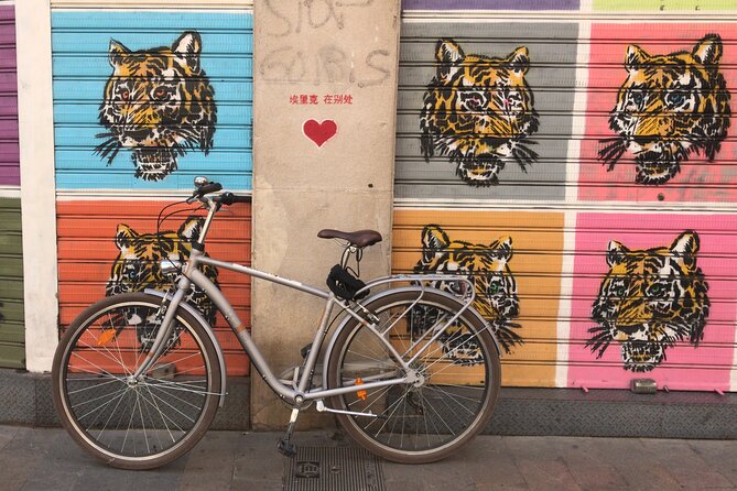 Valencia Street Art | Private Tour by Bike or Electric Ride - Private by Bike: A Flexible Schedule You Can Actually Use