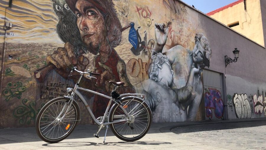 Valencia: Street Art Tour on Bicycle, E-Bike or E-Step - The Great Flood of 1957 murals, and why empty buildings mattered