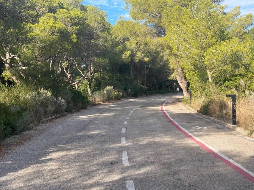 Valencia: The Albufera Lake Self-Guided E-Bike Tour - Key highlights worth your time