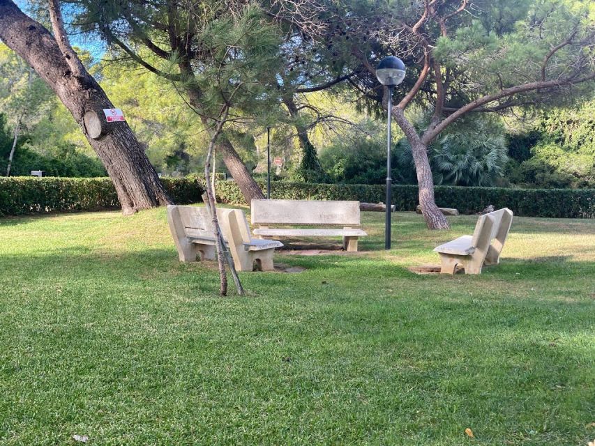 Valencia: The Albufera Lake Self-Guided E-Bike Tour - Albufera Lake UNESCO: birds, rice fields, and a flat ride that actually stays easy