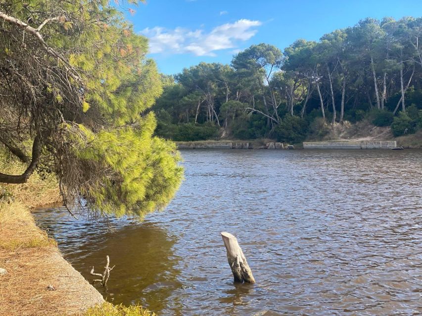 Valencia: The Albufera Lake Self-Guided E-Bike Tour - E-bike reality check: batteries, bike condition, and staying safe on routes