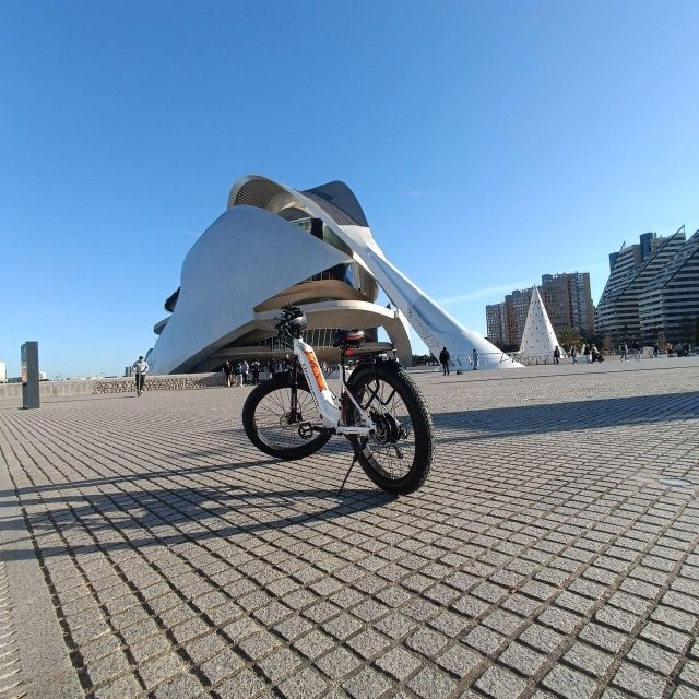 Valencia: The Albufera Lake Self-Guided E-Bike Tour - Price and value: what $40 buys you, and what it does not