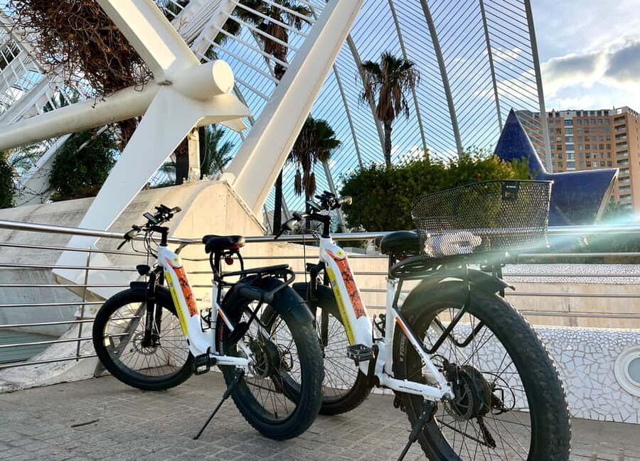 Valencia: the best 25 spots in the city by bike! - City of Arts and Sciences, from Hemisféric to Pont de lAssut de lOr
