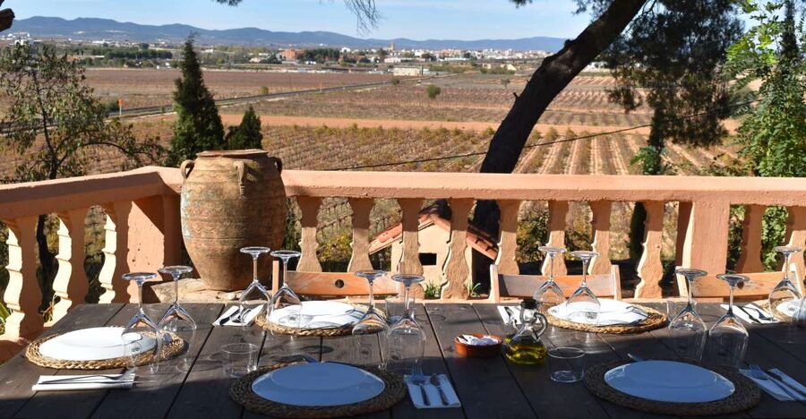Valencia: Utiel-Requena Cave & Winery Day Trip with Tasting - Key Things You’ll Notice on This Utiel-Requena Day Trip