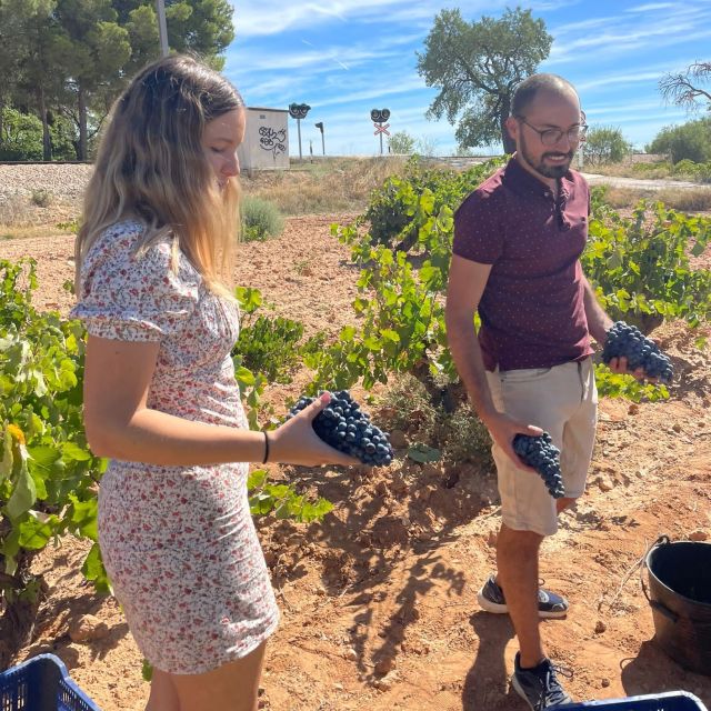 Valencia: Utiel-Requena Cave & Winery Day Trip with Tasting - Requena’s Old Streets: A Short Walk That Sets the Tone