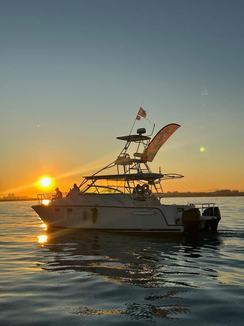 Valencia: VIP Sunset Cruise in Catamaran with drink - The cruise hour on the water: what you should expect to see