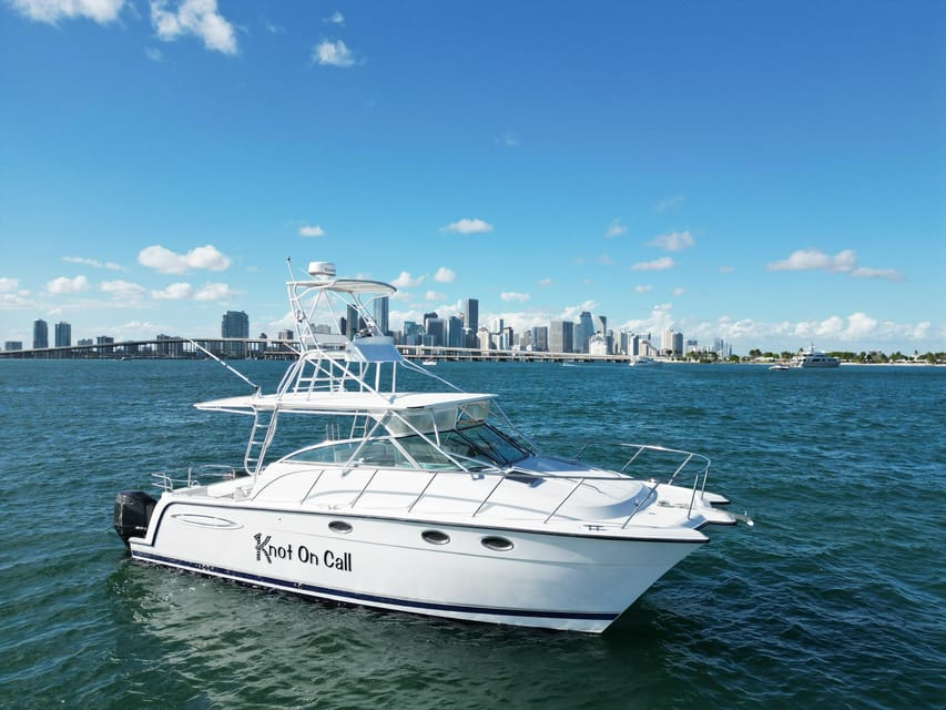 Valencia: VIP Sunset Cruise in Catamaran with drink - Should you book this Valencia VIP sunset catamaran cruise?