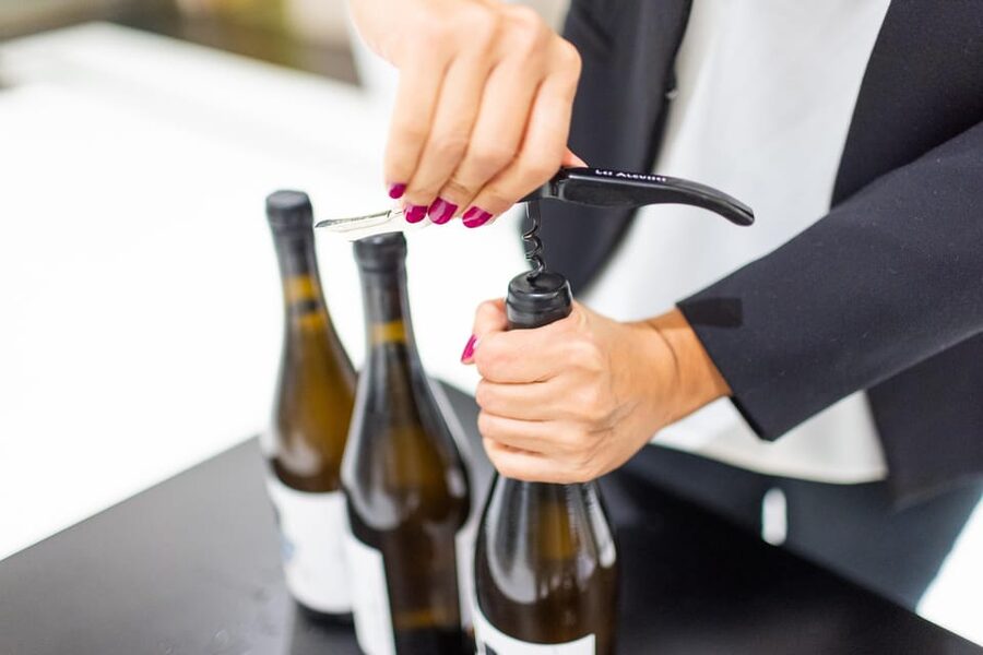 Valencia: Wine Tasting and Tapas Experience - The guide factor: why host style matters here