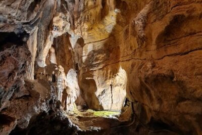 Visit to the Sant Josep Caves