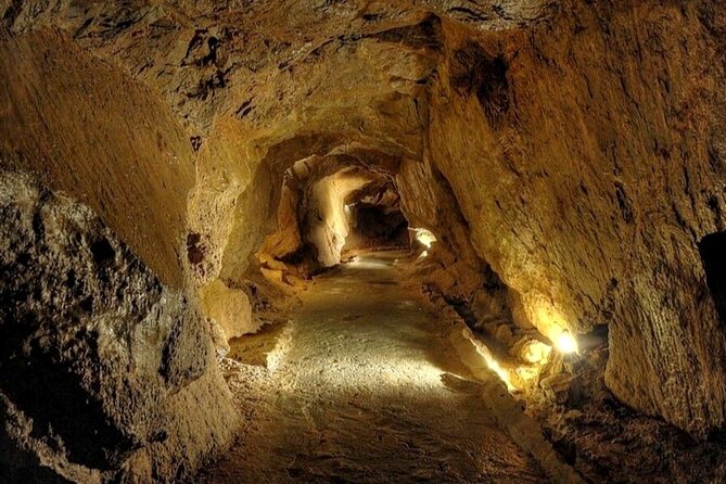 Visit to the Sant Josep Caves - Pricing and value: is $179.74 per person worth it?