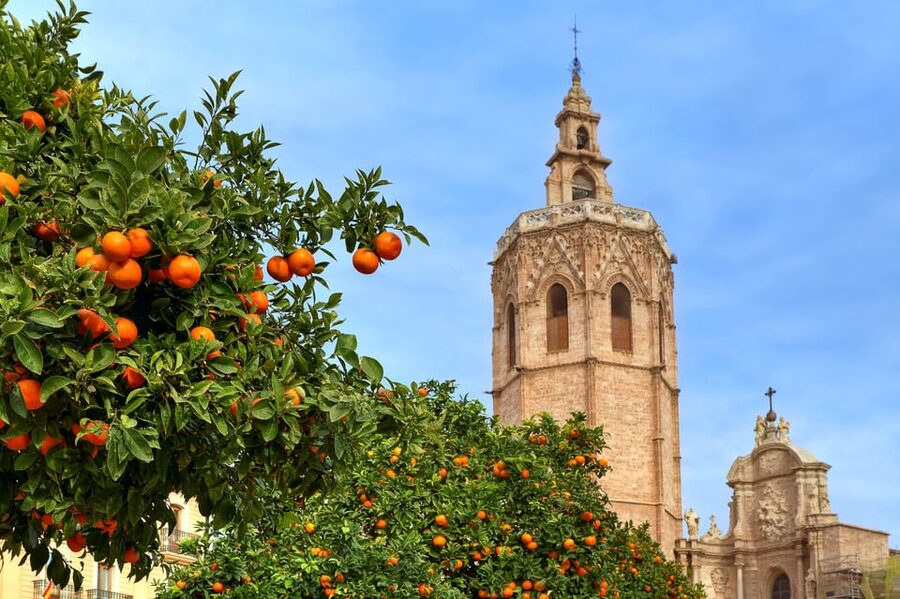Walking Tour through Valencia's Historic Centre - Quick hits: what you will get in this Valencia centre walk