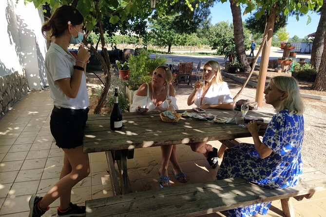 Wine tasting tour - Elise from Combina con Vino: English-friendly, calm, and easy to talk with
