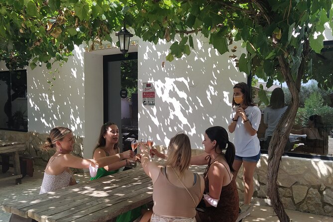 Wine tasting tour - Stop 1 in the Utiel-Requena vineyards: your first tasting flight